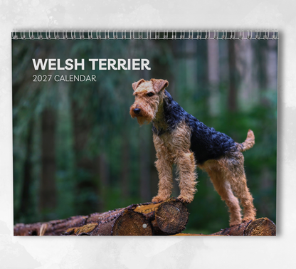 Welsh Terrier Calendar 2027