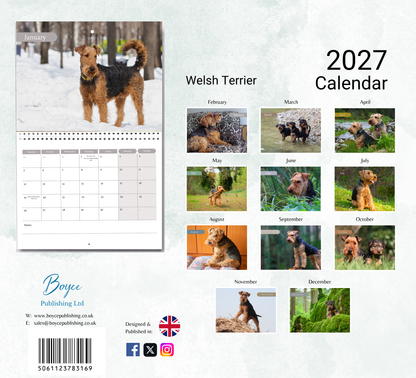 Welsh Terrier Calendar 2027