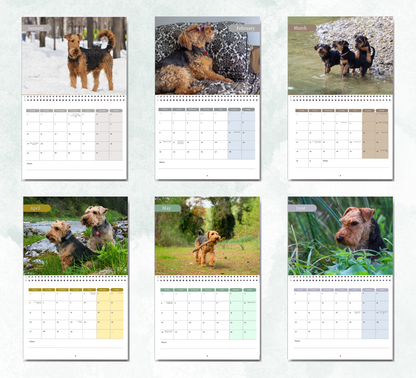 Welsh Terrier Calendar 2027
