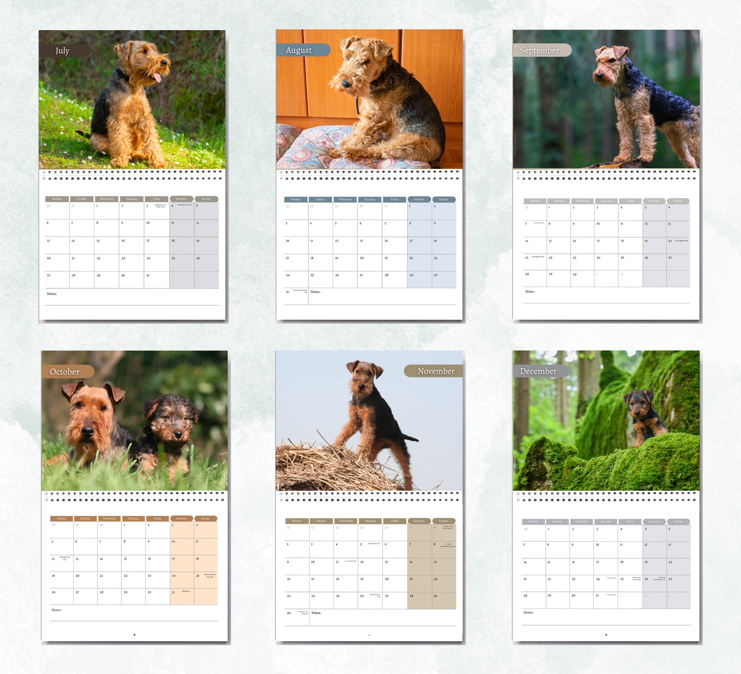 Welsh Terrier Calendar 2027