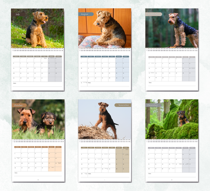 Welsh Terrier Calendar 2027
