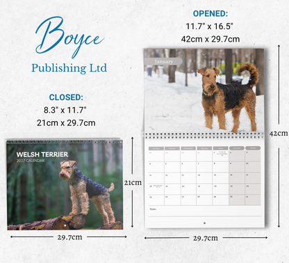 Welsh Terrier Calendar 2027