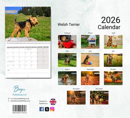 Welsh Terrier Calendar 2026