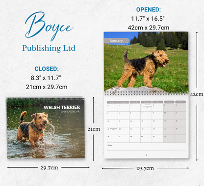 Welsh Terrier Calendar 2026