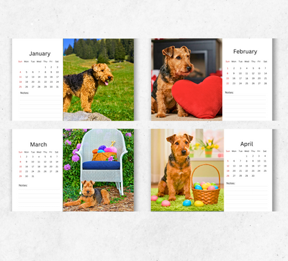Welsh Terrier Desk Calendar 2026-2027