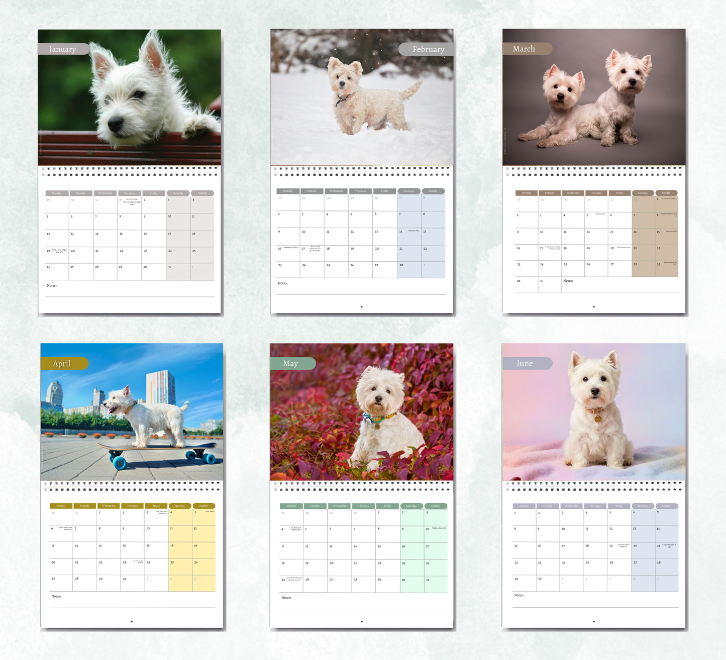 West Highland Terrier Calendar 2027