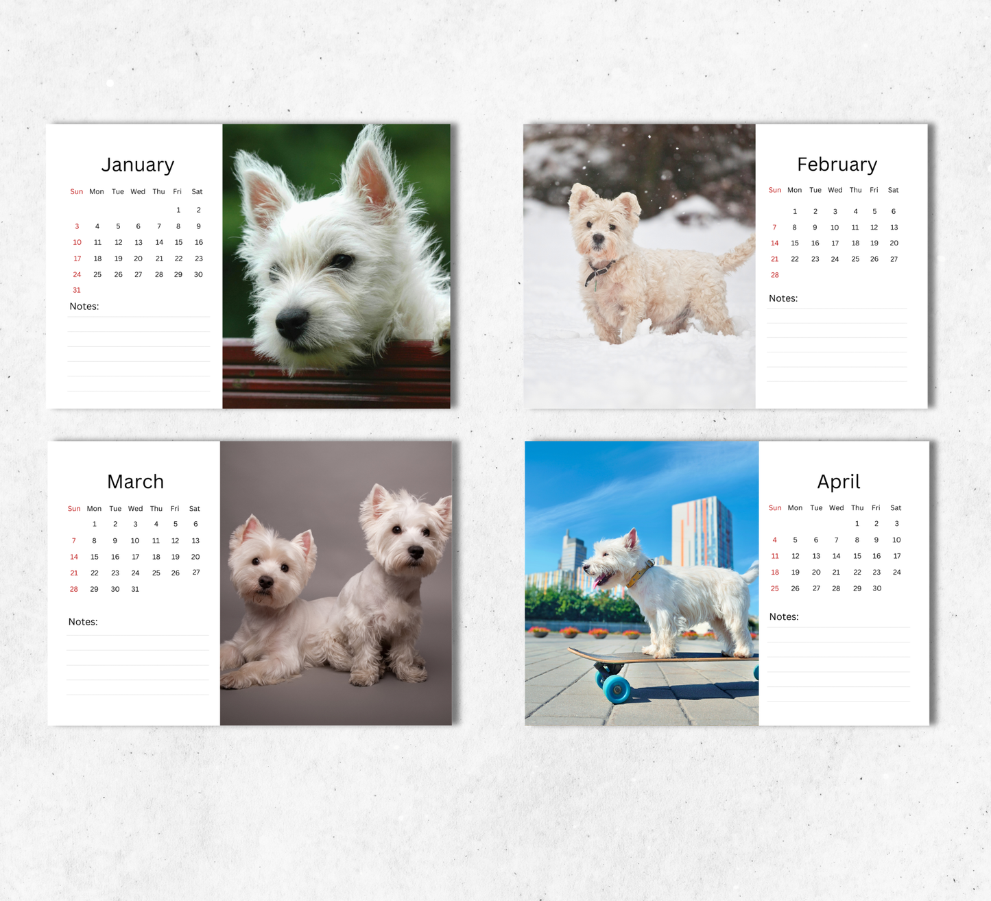West Highland Terrier Desk Calendar 2027-2028