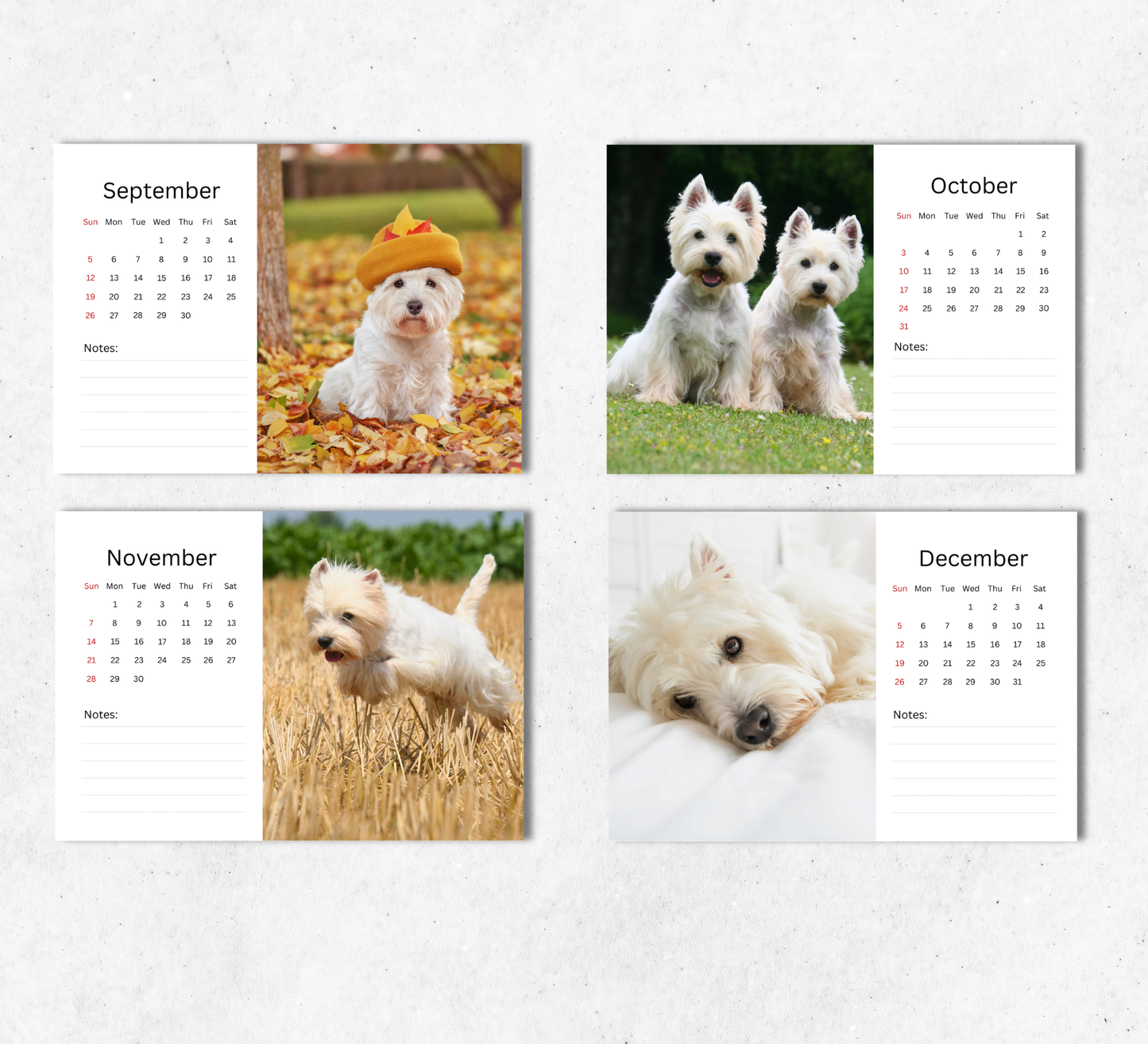 West Highland Terrier Desk Calendar 2027-2028