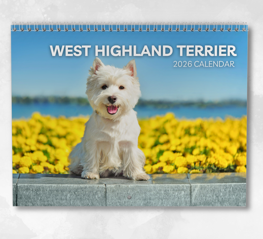 West Highland Terrier Calendar 2026