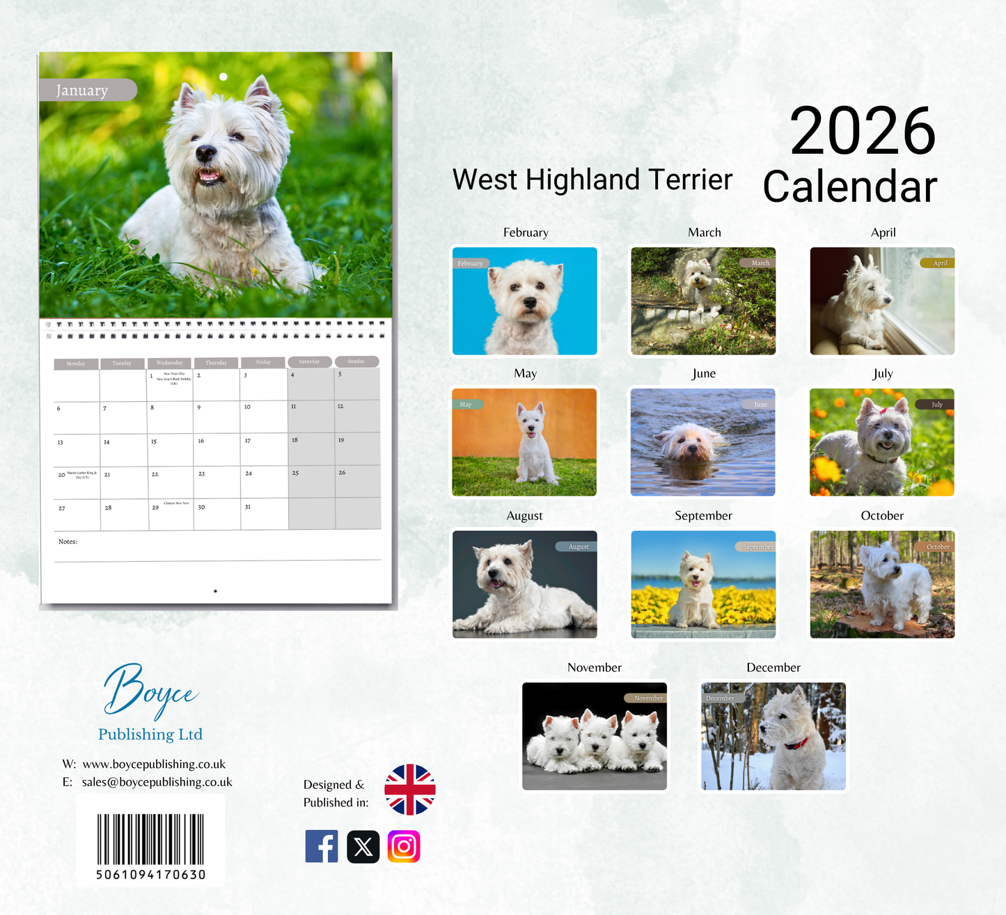 West Highland Terrier Calendar 2026