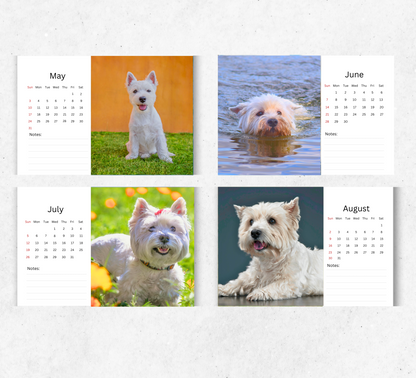West Highland Terrier Desk Calendar 2026-2027