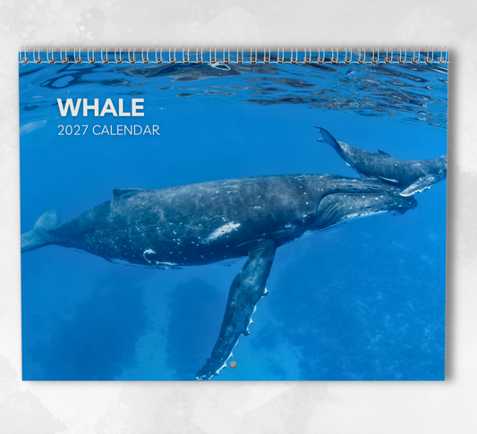 Whale Calendar 2027