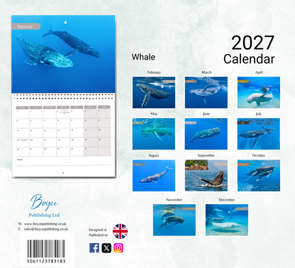 Whale Calendar 2027