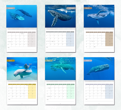 Whale Calendar 2027