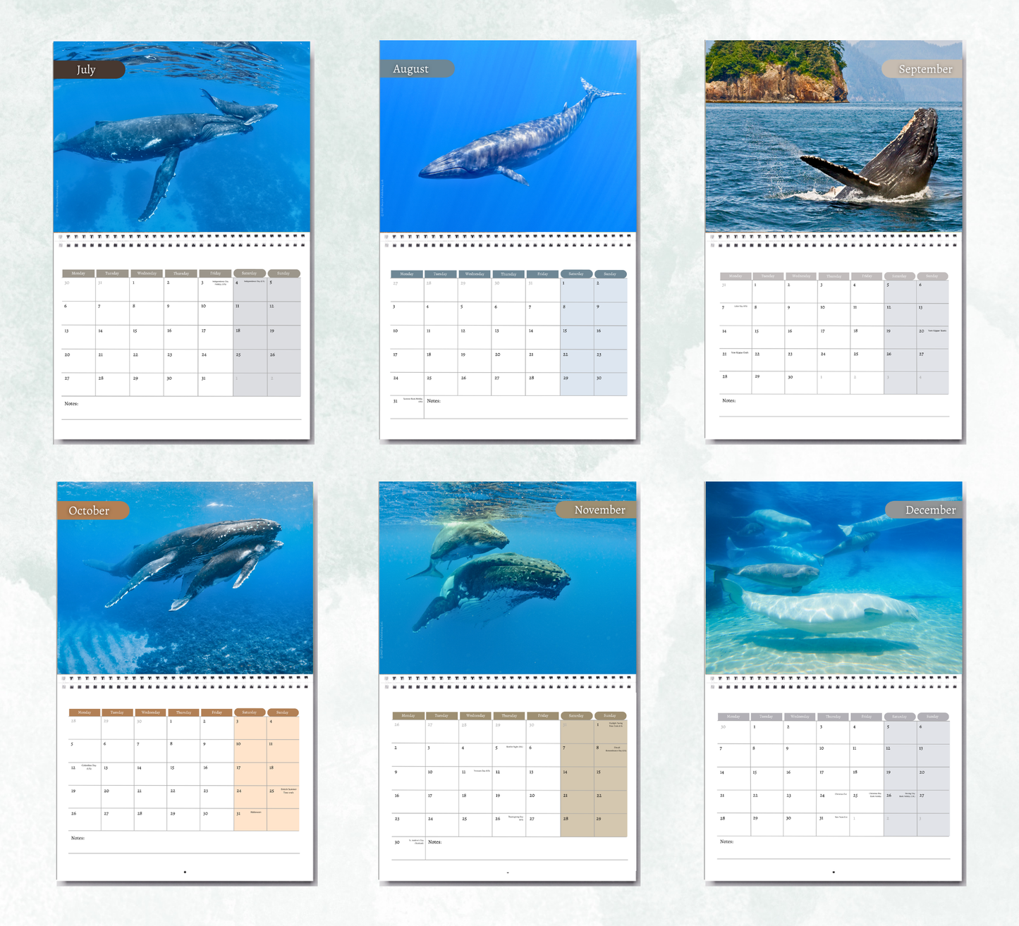 Whale Calendar 2027