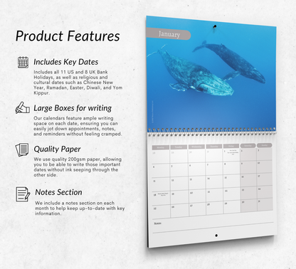 Whale Calendar 2027