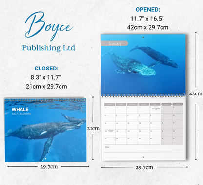 Whale Calendar 2027