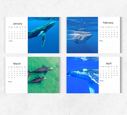 Whale Desk Calendar 2026-2027