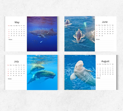Whale Desk Calendar 2026-2027