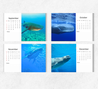 Whale Desk Calendar 2026-2027