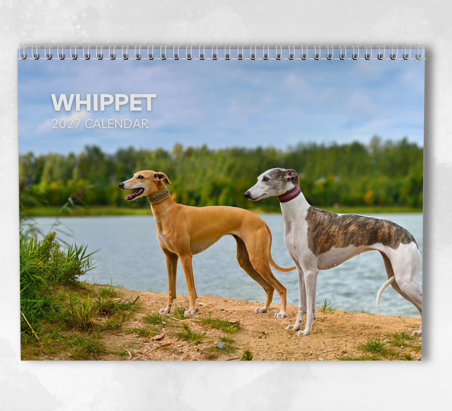 Whippet Calendar 2027