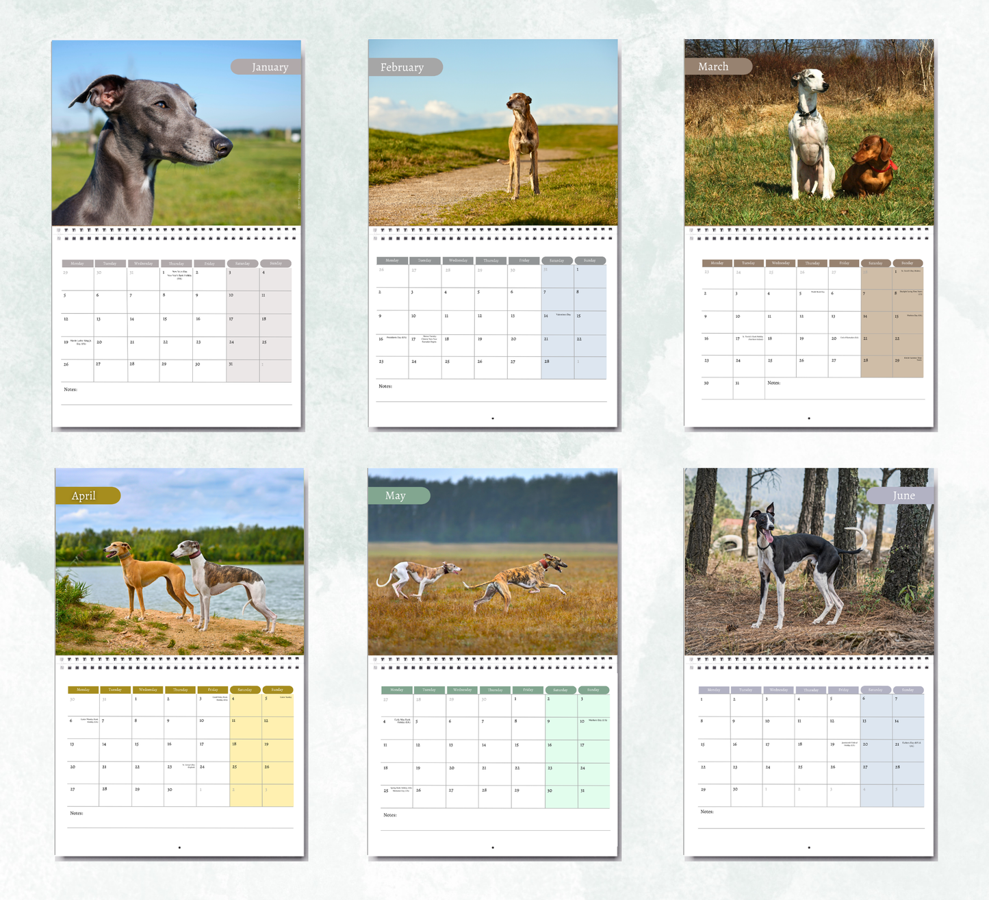 Whippet Calendar 2027