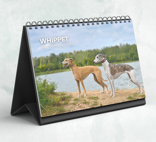 Whippet Desk Calendar 2027-2028