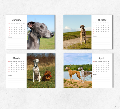 Whippet Desk Calendar 2027-2028