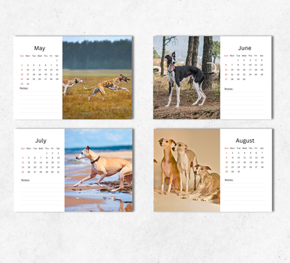 Whippet Desk Calendar 2027-2028