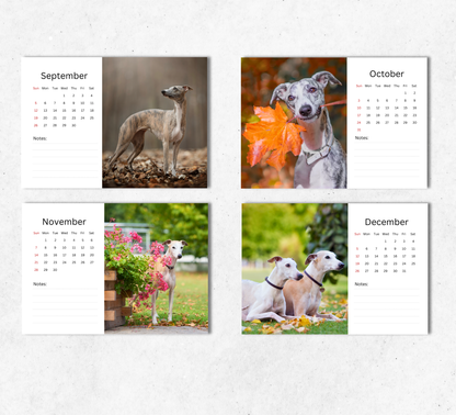 Whippet Desk Calendar 2027-2028