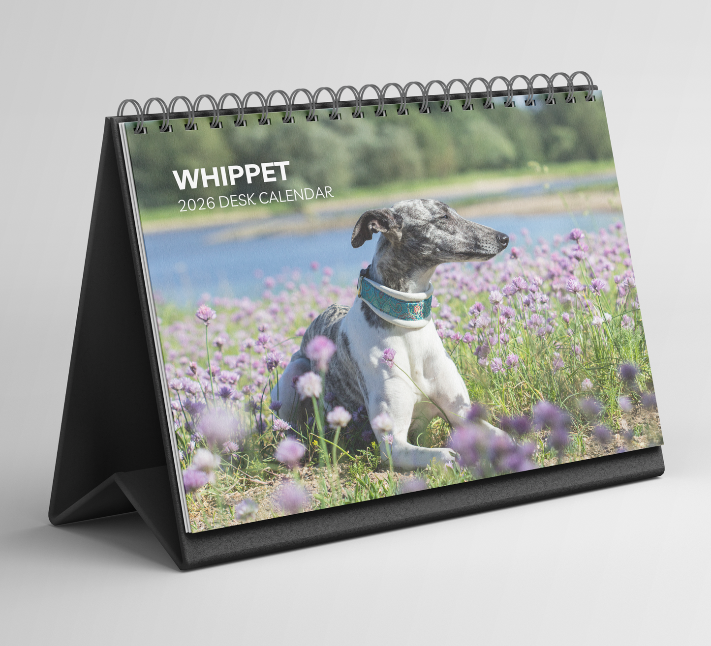Whippet Desk Calendar 2026-2027