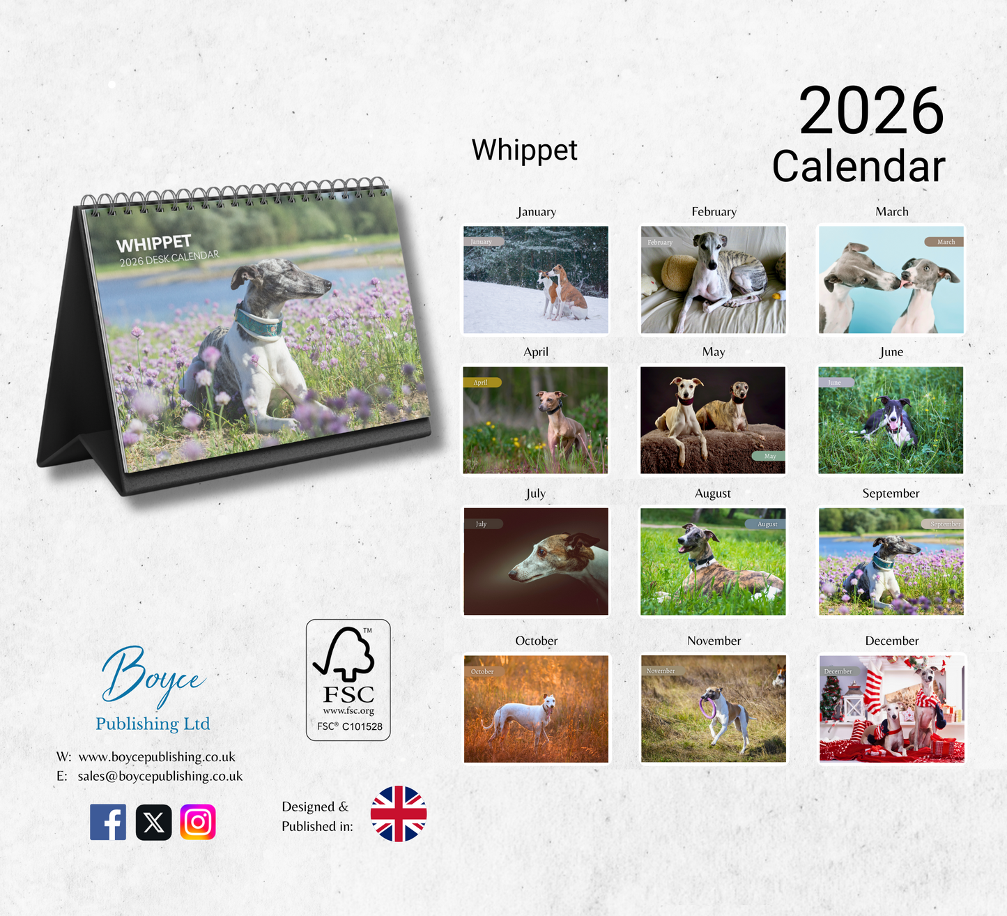 Whippet Desk Calendar 2026-2027