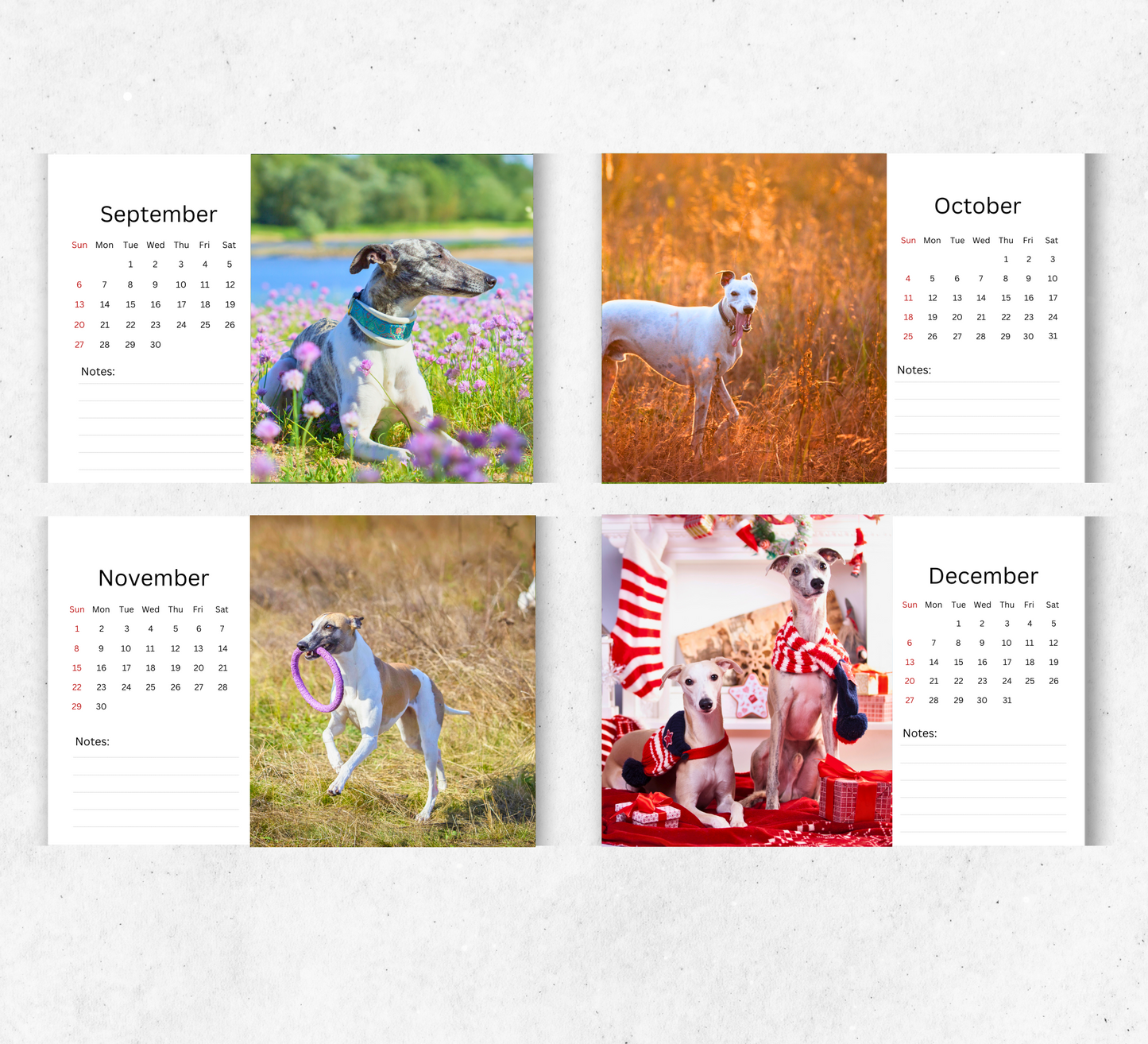 Whippet Desk Calendar 2026-2027