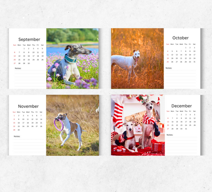 Whippet Desk Calendar 2026-2027