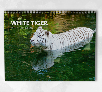 White Tigers Calendar 2027