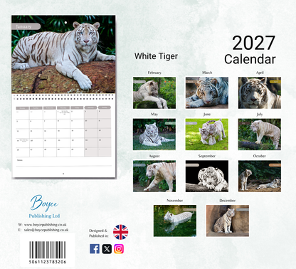 White Tigers Calendar 2027