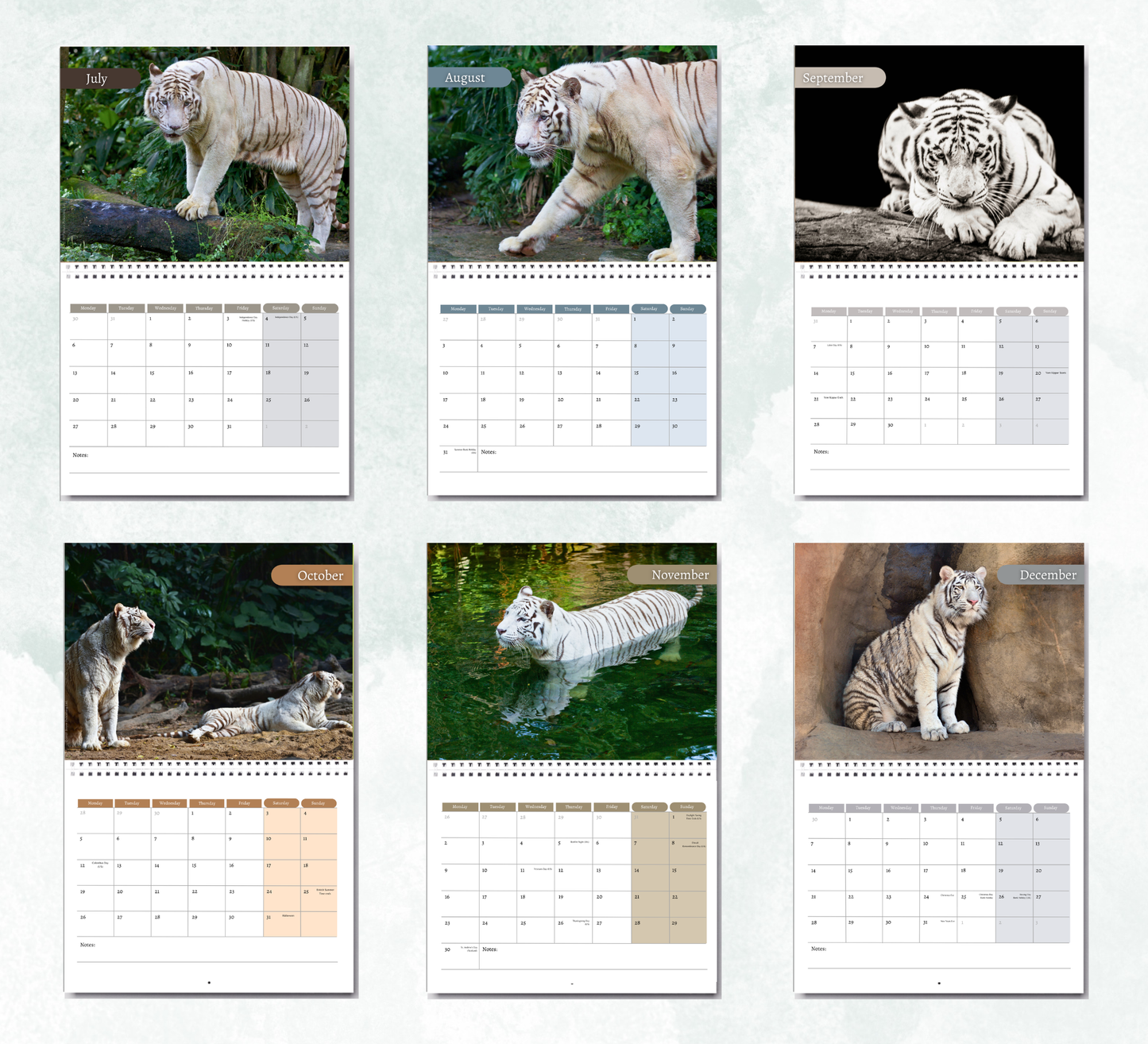 White Tigers Calendar 2027