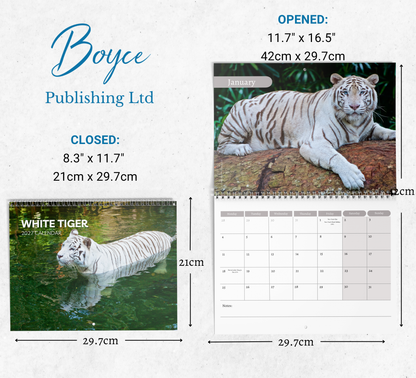 White Tigers Calendar 2027