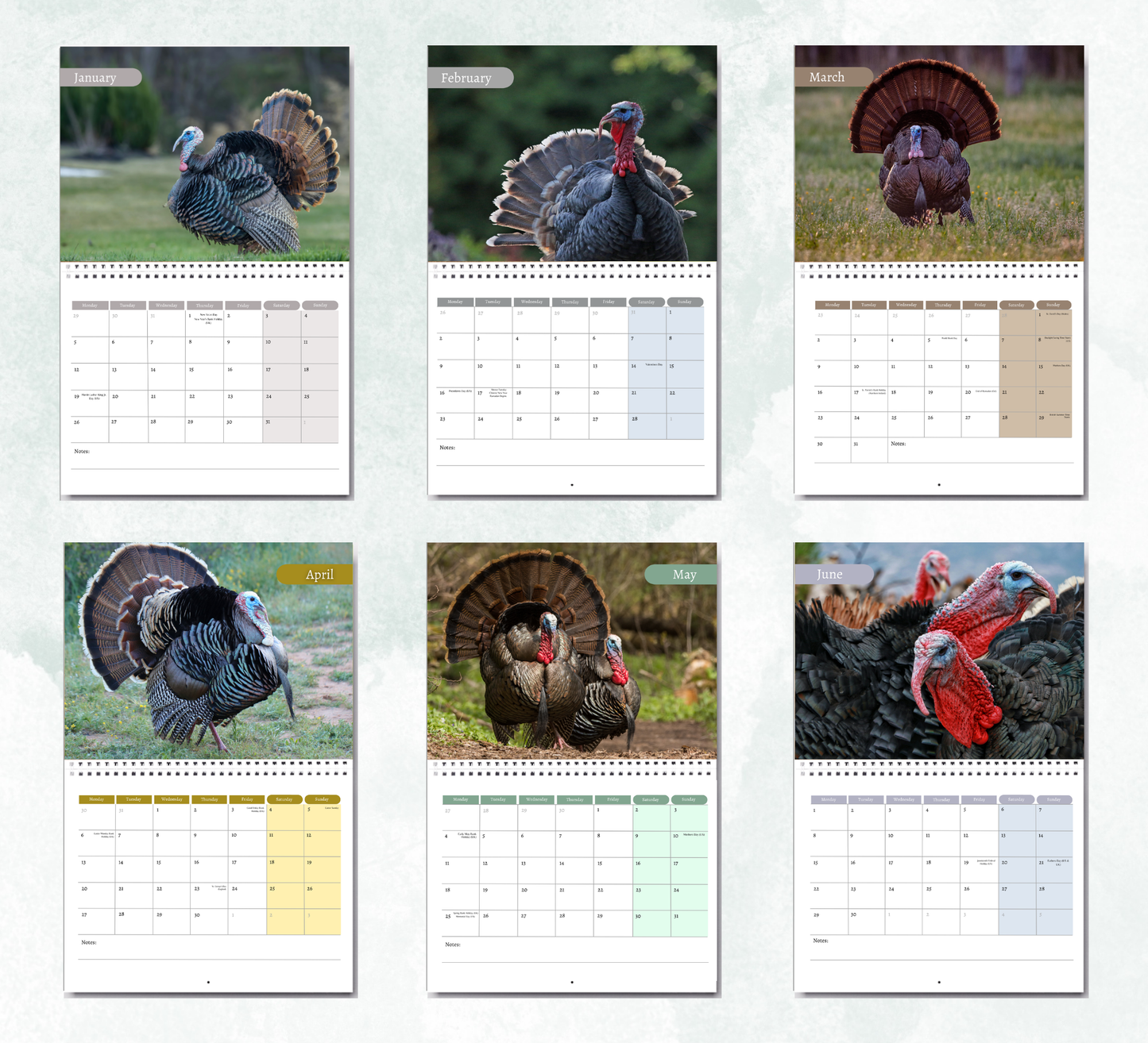Wild Turkey Calendar 2027