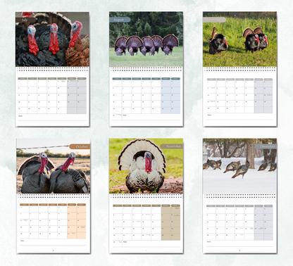 Wild Turkey Calendar 2027