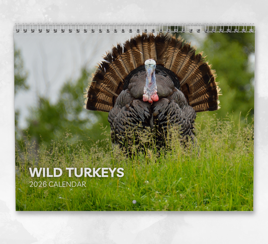 Wild Turkey Calendar 2026