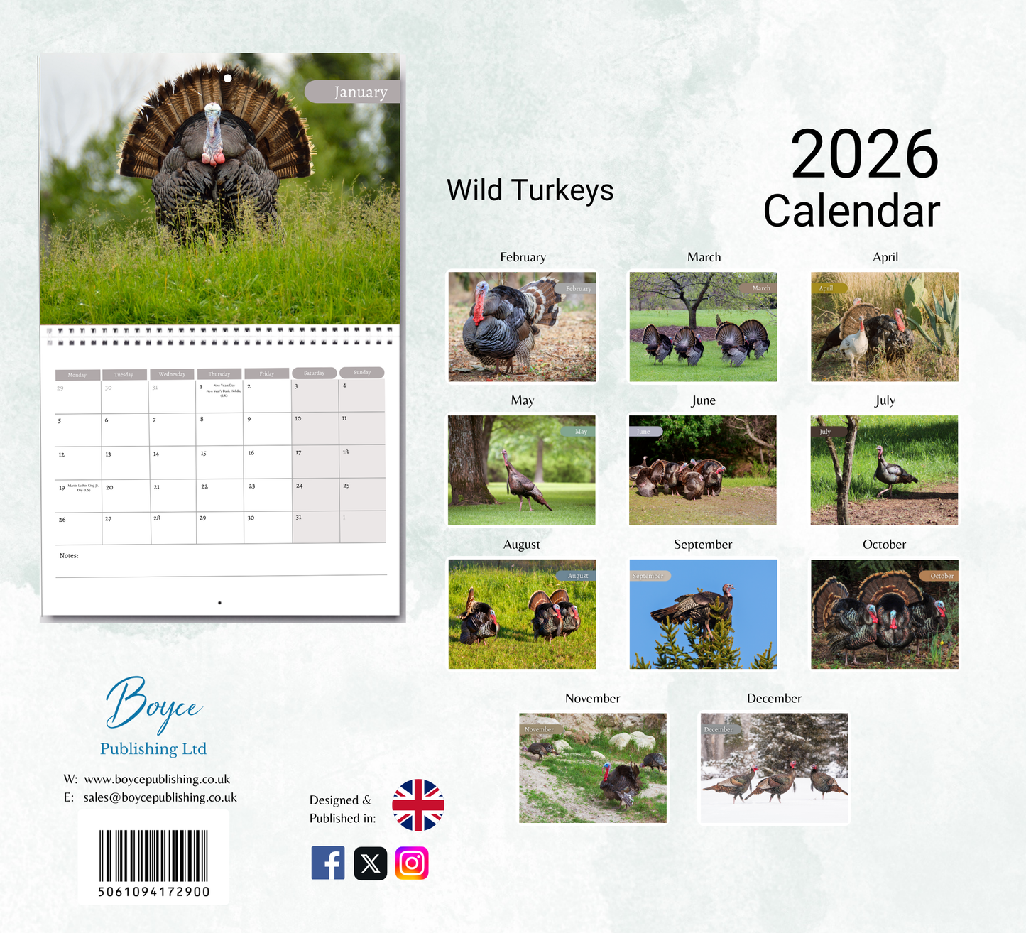 Wild Turkey Calendar 2026