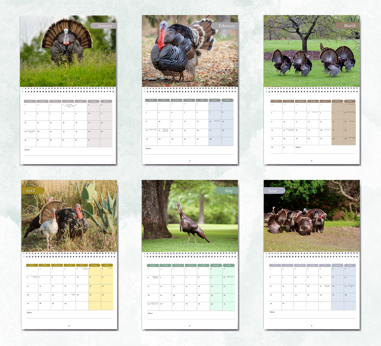 Wild Turkey Calendar 2026