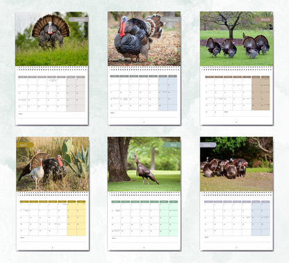 Wild Turkey Calendar 2026
