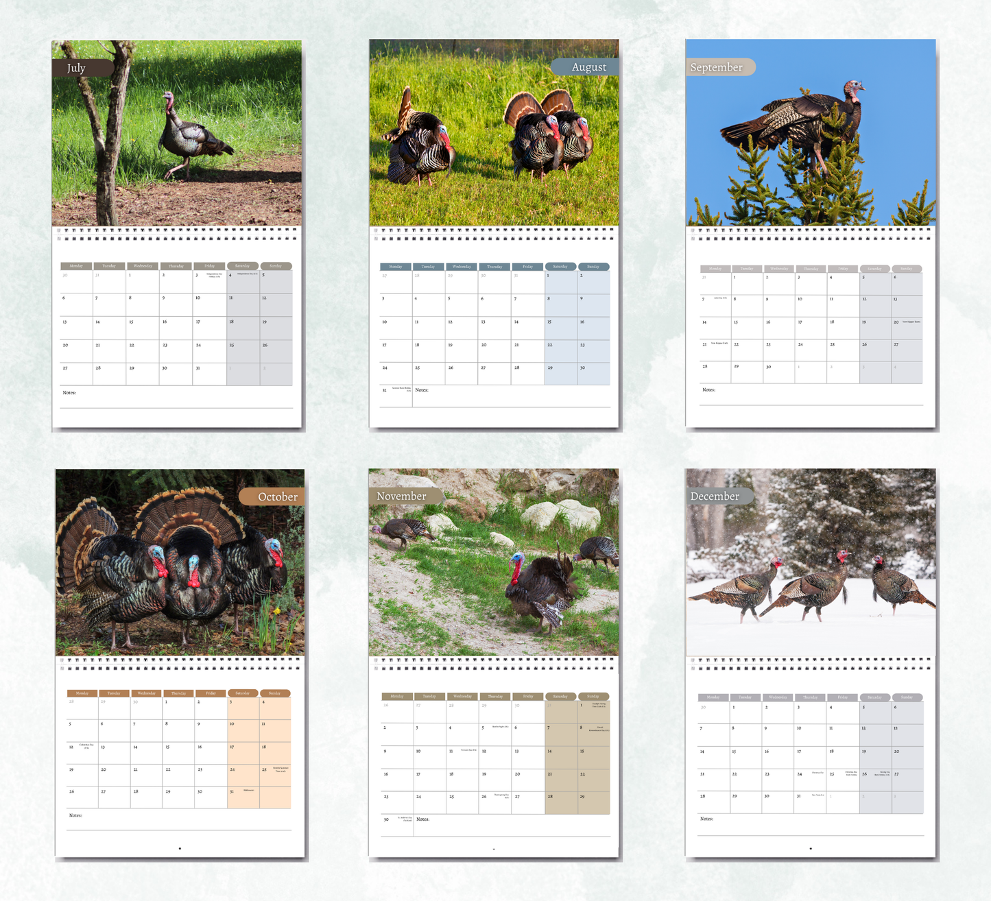 Wild Turkey Calendar 2026