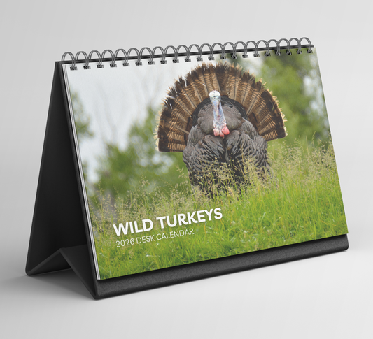 Wild Turkey Desk Calendar 2026-2027