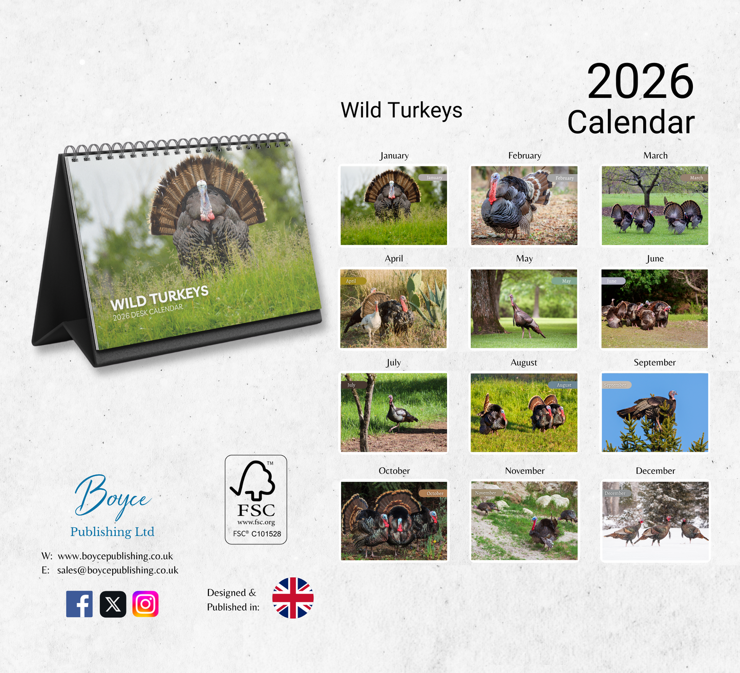 Wild Turkey Desk Calendar 2026-2027