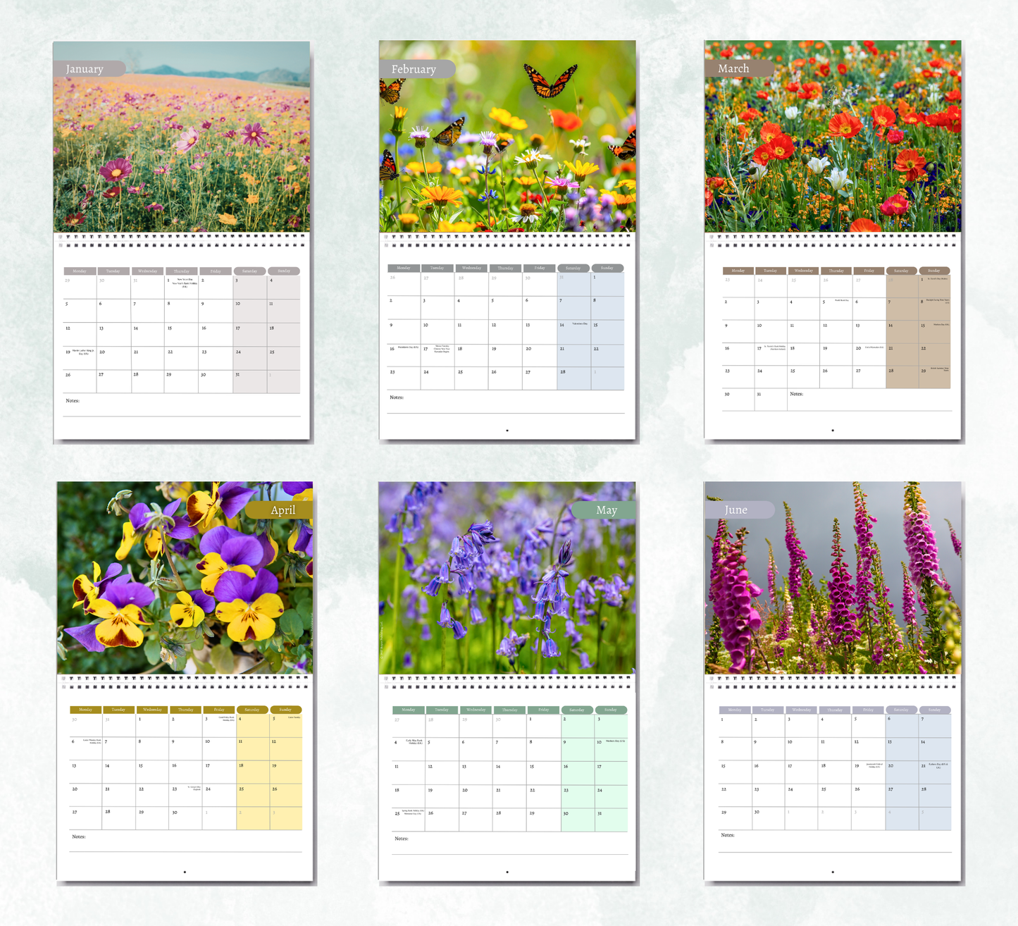 Wildflowers Calendar 2027