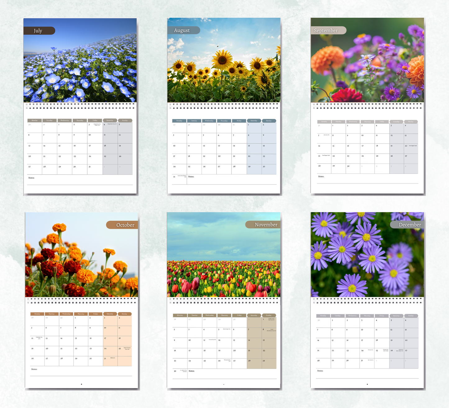 Wildflowers Calendar 2027
