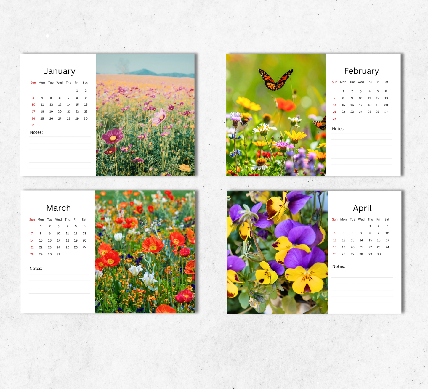 Wildflowers Desk Calendar 2027-2028